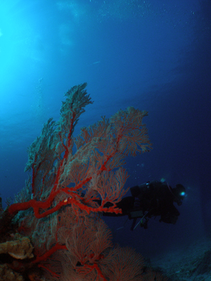 d0065247_2154983.jpg