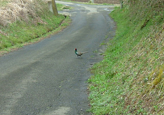 f0000148_13115564.jpg