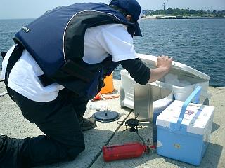 c0019951_2243078.jpg