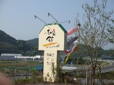c0081552_2191859.jpg