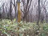 e0004756_2063470.jpg