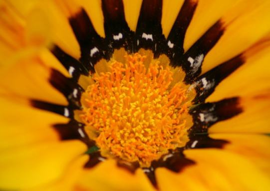 b0092958_6301312.jpg