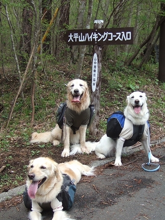 c0097558_2334559.jpg