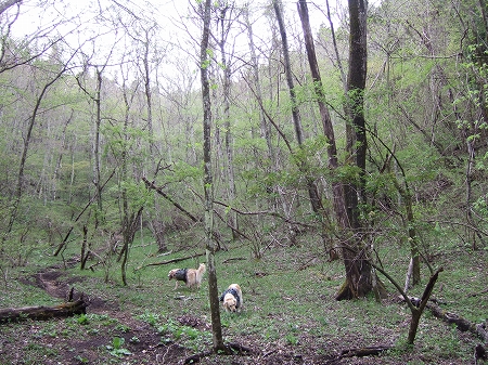 c0097558_2402318.jpg