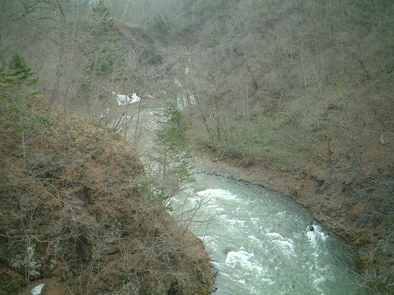 a0046159_2226477.jpg