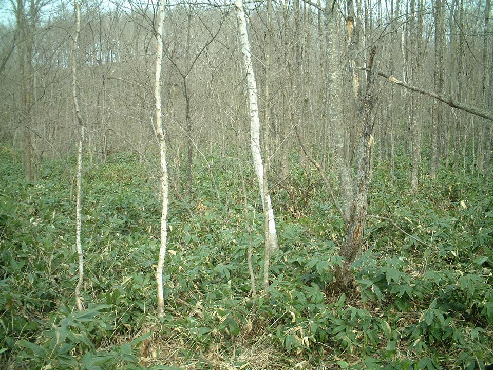 a0046159_22271849.jpg