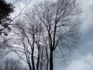 e0088260_0114326.jpg
