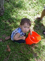 a0048361_8111610.jpg