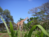 a0048361_836558.jpg