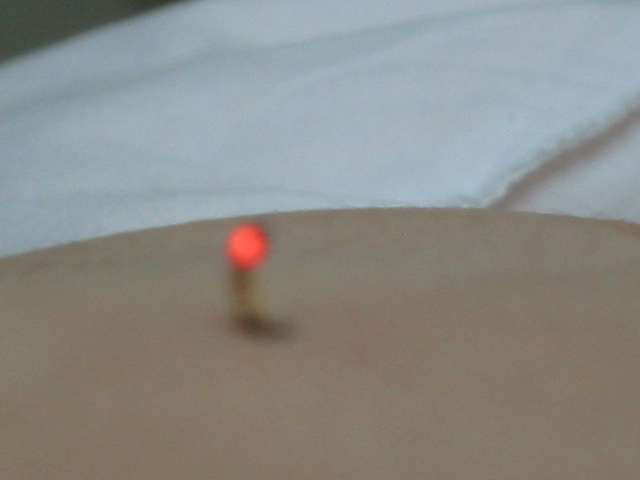 d0094868_10452723.jpg