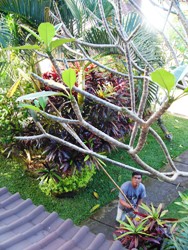 e0066369_0315098.jpg