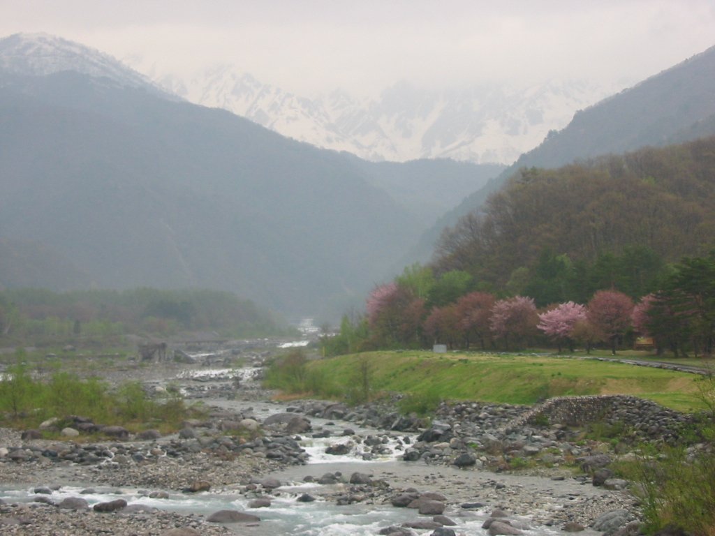 b0039373_2144279.jpg