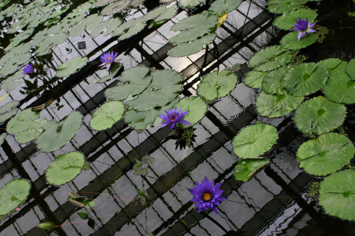 d0079373_23581487.jpg