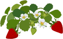 f0137694_2295154.gif