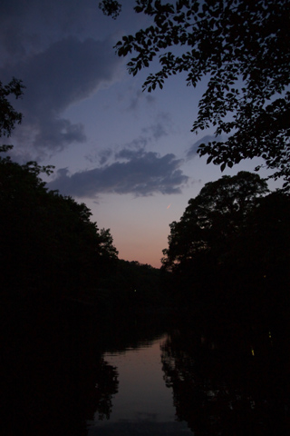 a0049195_0114549.jpg
