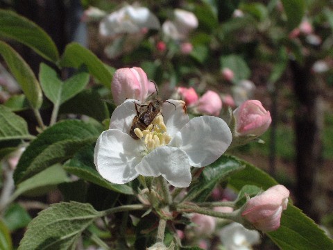 d0085096_1625281.jpg