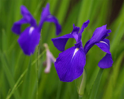 b0108100_22475576.gif