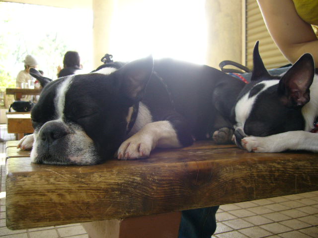 d0070702_23353592.jpg