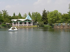 c0076204_1738362.jpg