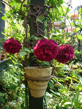 f0065604_21404728.jpg