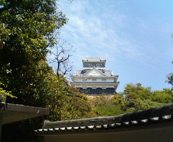 c0064706_1144412.jpg