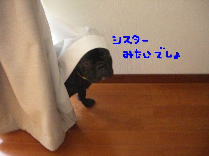 c0113109_0193581.jpg