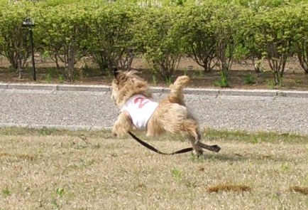 e0078510_20483141.jpg