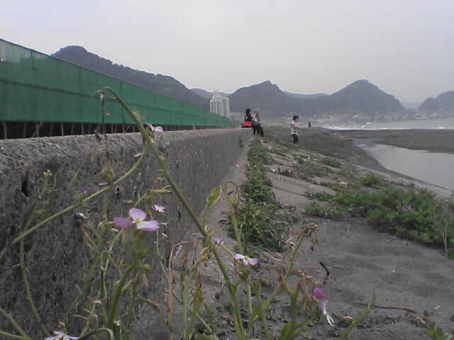 f0000616_21192642.jpg