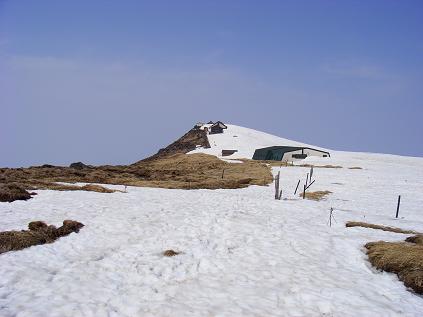 f0118332_23591244.jpg