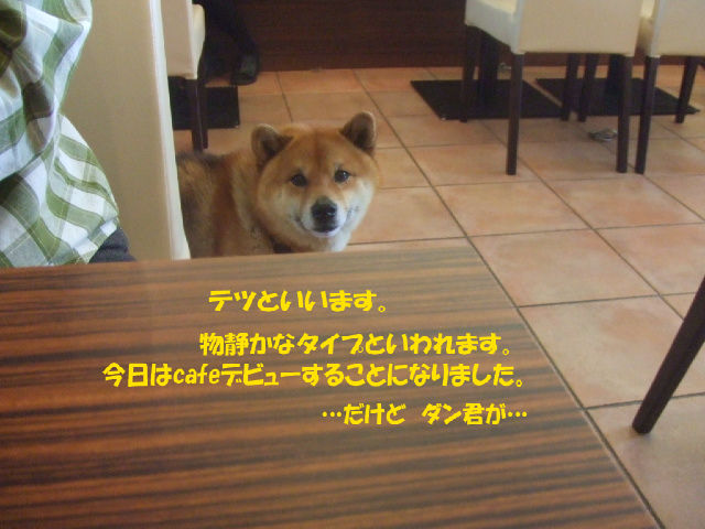 f0059334_91641.jpg