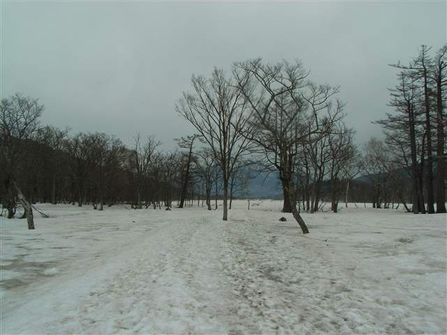 b0102639_20271419.jpg