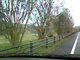 d0047840_114538.jpg