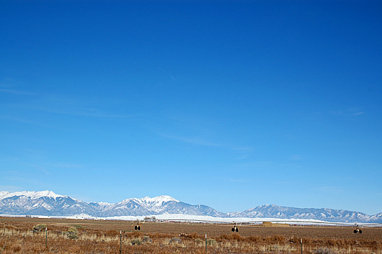 d0008146_10461582.jpg