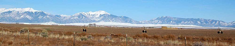 d0008146_10462241.jpg