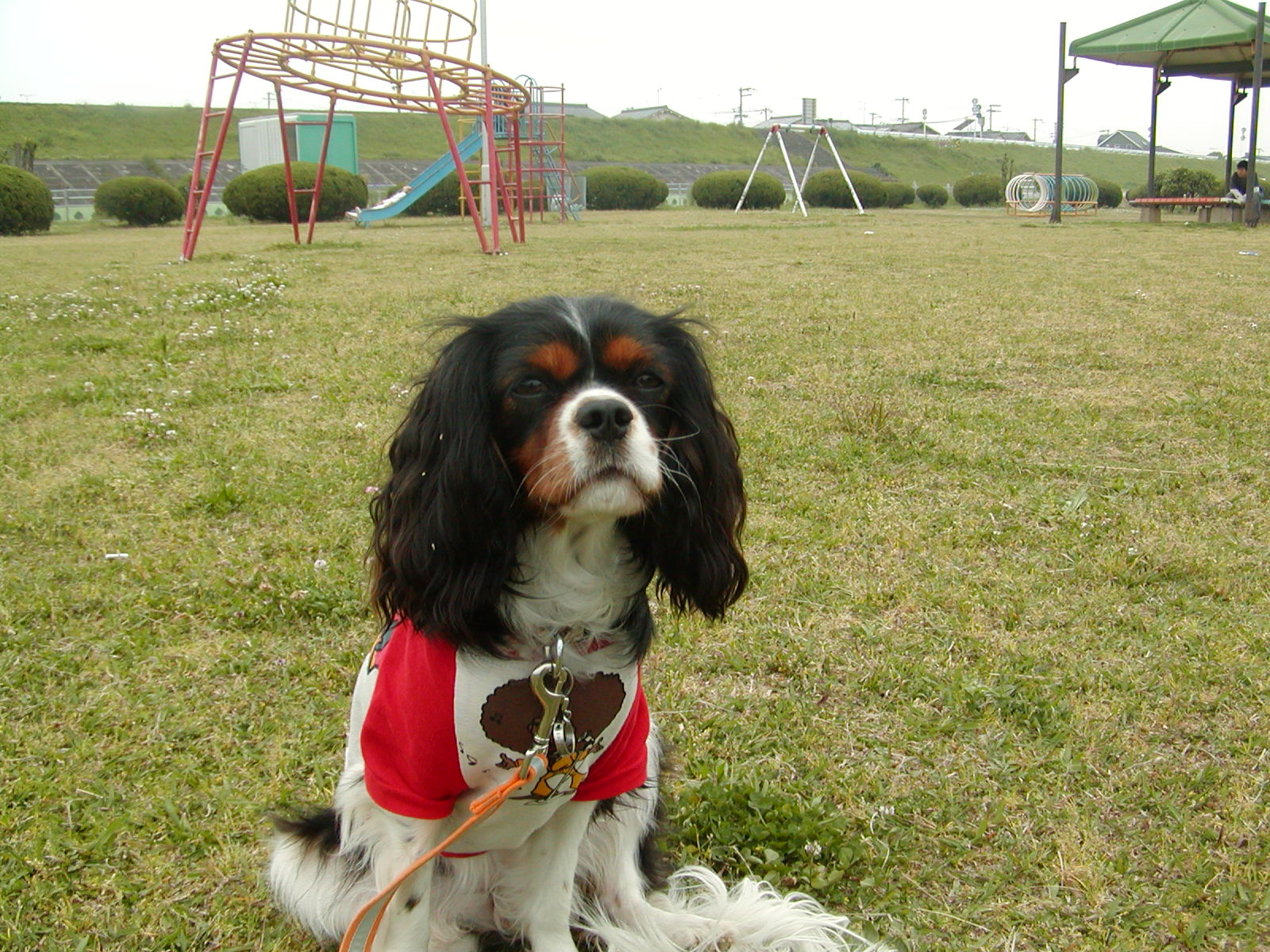 f0039446_8481669.jpg