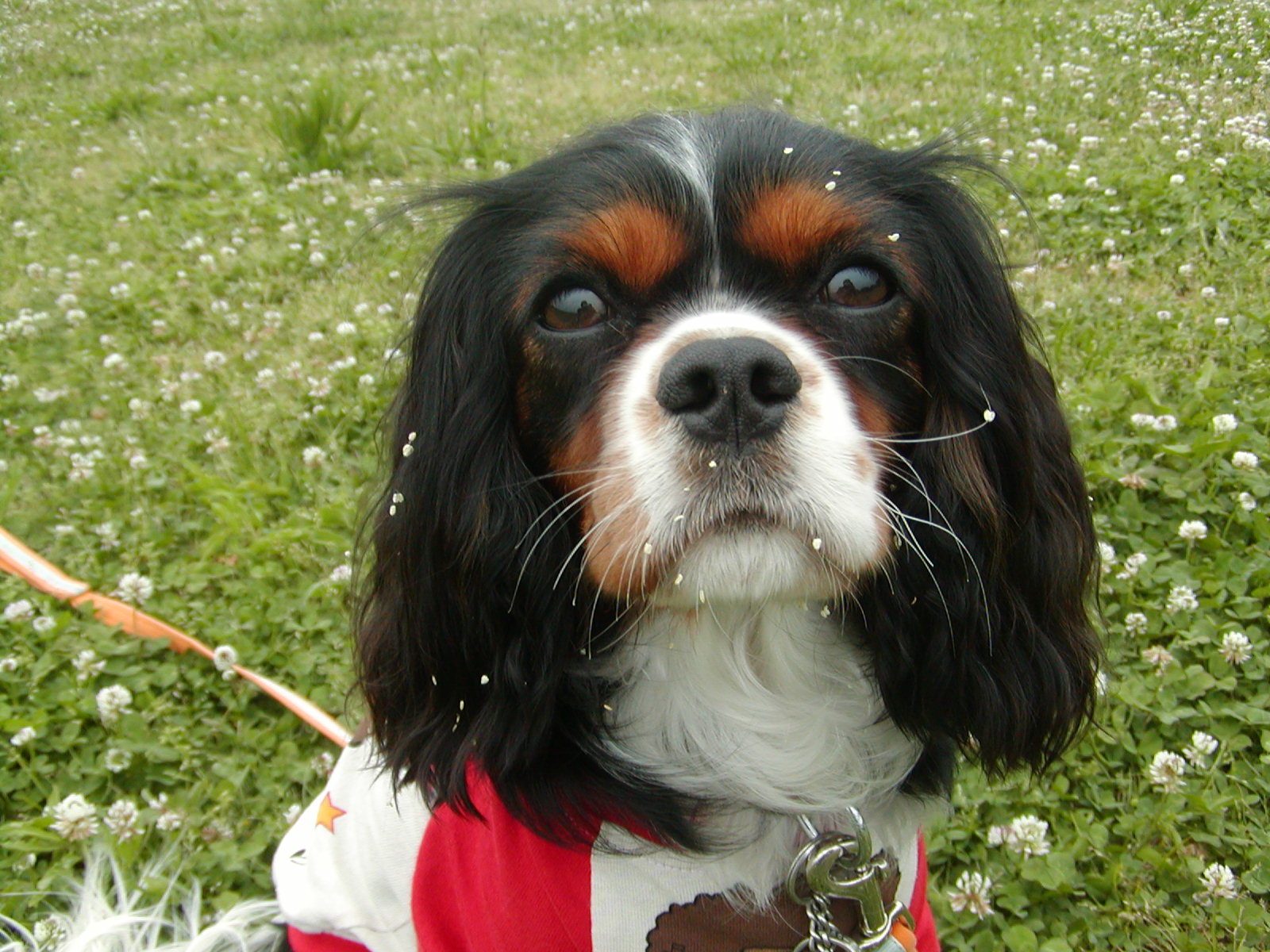 f0039446_848489.jpg