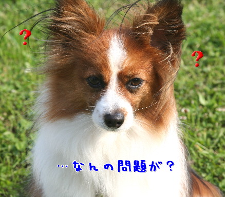 d0013149_858885.jpg