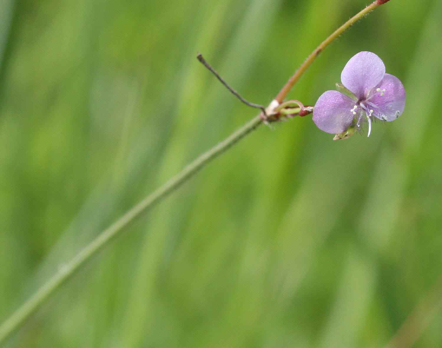 a0094850_20483115.jpg