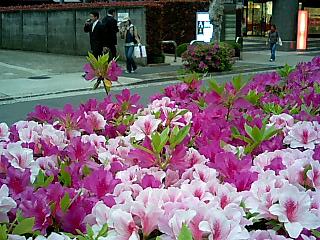 d0003551_048280.jpg