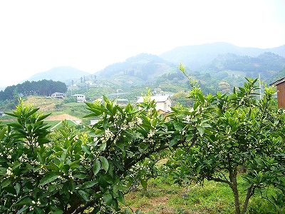 c0037164_1319674.jpg