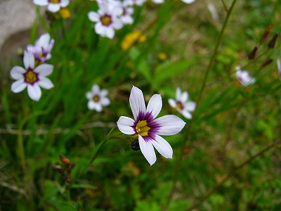c0037164_13235529.jpg