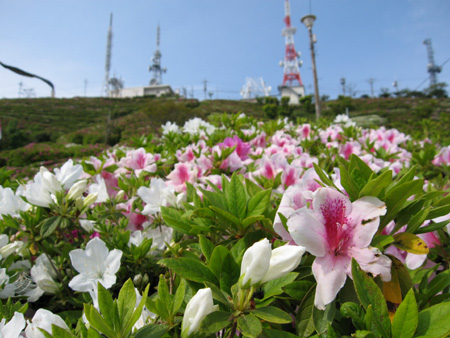 c0104371_1771654.jpg