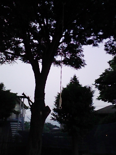 f0042571_23562918.jpg