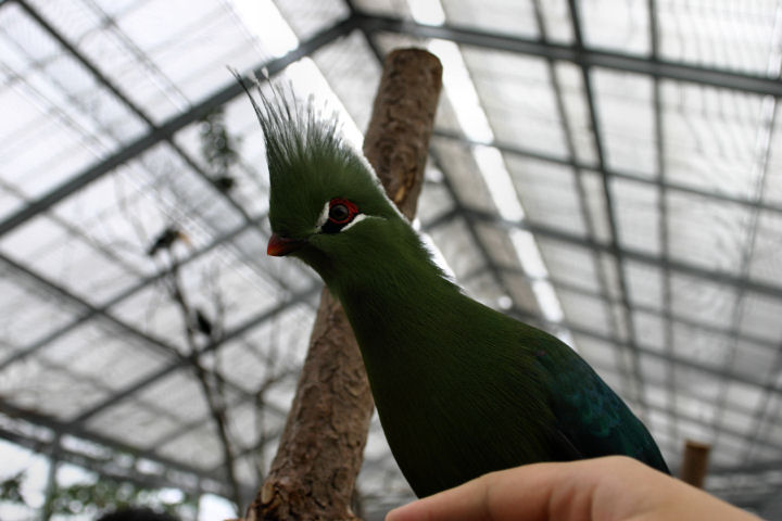 d0079373_22425511.jpg