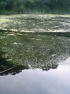 a0040876_21455950.jpg