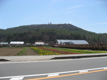 d0045179_22381971.jpg