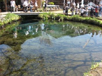 d0045179_22391433.jpg