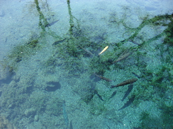 d0045179_2239234.jpg