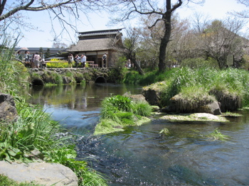 d0045179_2239346.jpg