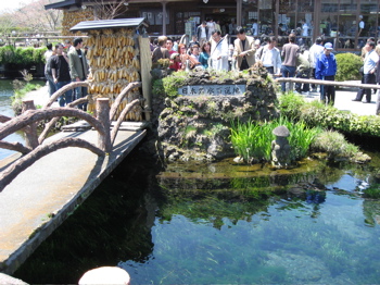 d0045179_22394611.jpg